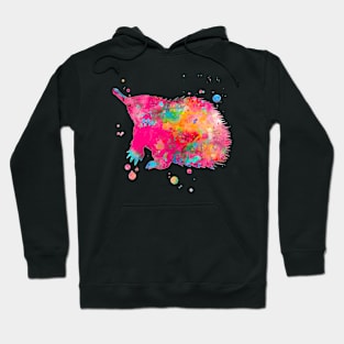 Echidna Watercolor Painting Hoodie